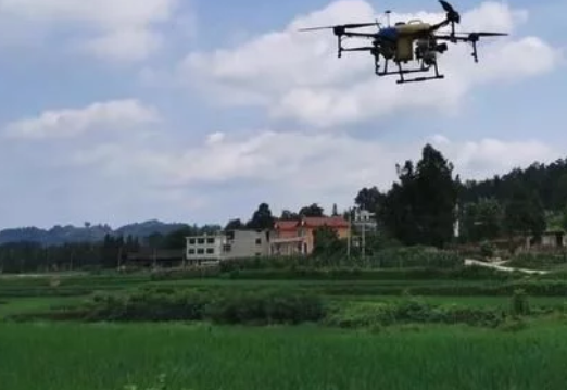 萬山水稻病蟲害防治用上了&ldquo;無人機(jī)&rdquo;